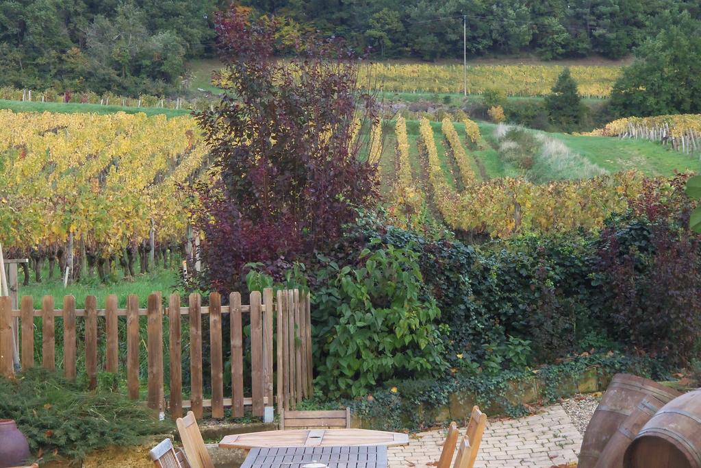 La Petite Madeleine Hotel Castillon-la-Bataille Eksteriør billede