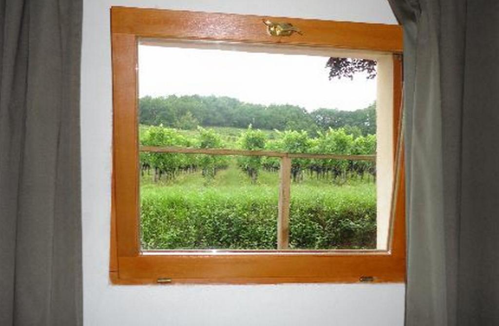 La Petite Madeleine Hotel Castillon-la-Bataille Værelse billede