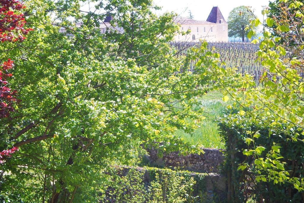 La Petite Madeleine Hotel Castillon-la-Bataille Eksteriør billede