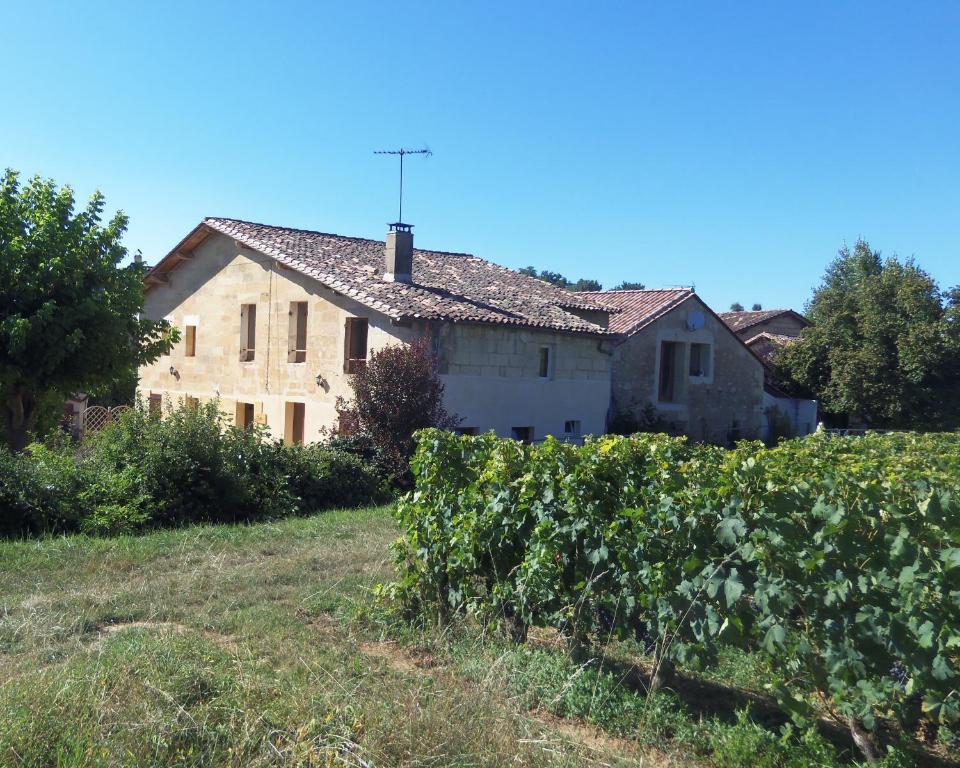 La Petite Madeleine Hotel Castillon-la-Bataille Eksteriør billede
